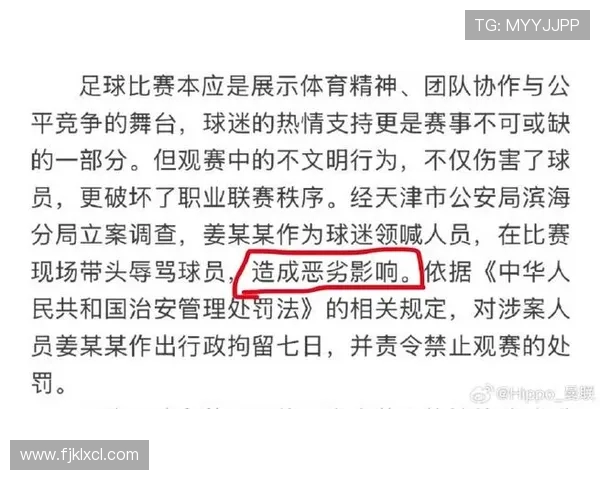 天津足协处罚辱骂韦世豪球迷拘留七天并禁止观赛的决定 天津足协处罚辱骂韦世豪球迷拘留七天并禁止观赛的决定